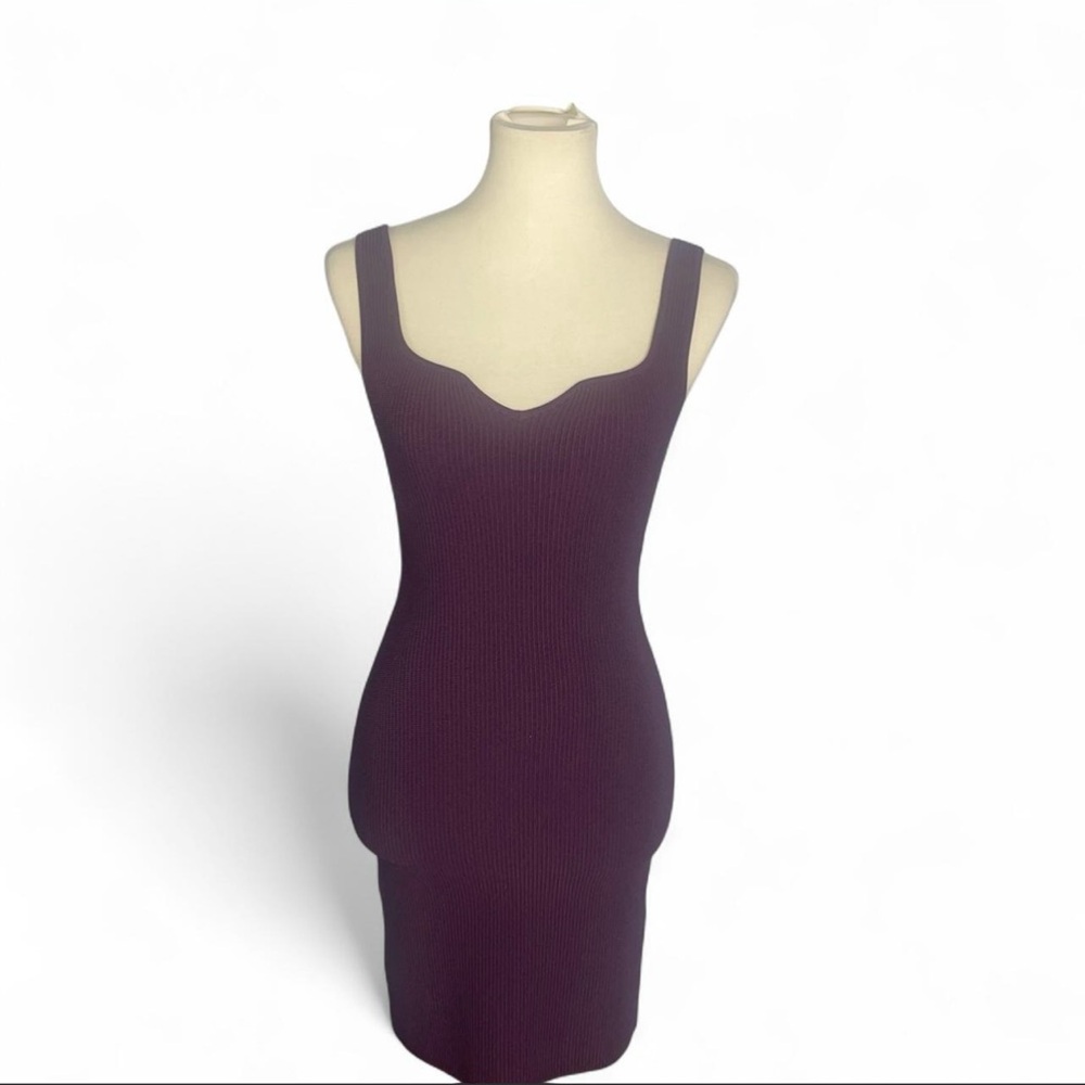 Aritzia Deep Purple Mini Dress